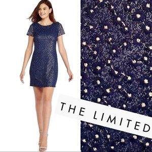 The LIMITED Celestial Dress Deep River Blue Embroidered w Metallic Silver Thread